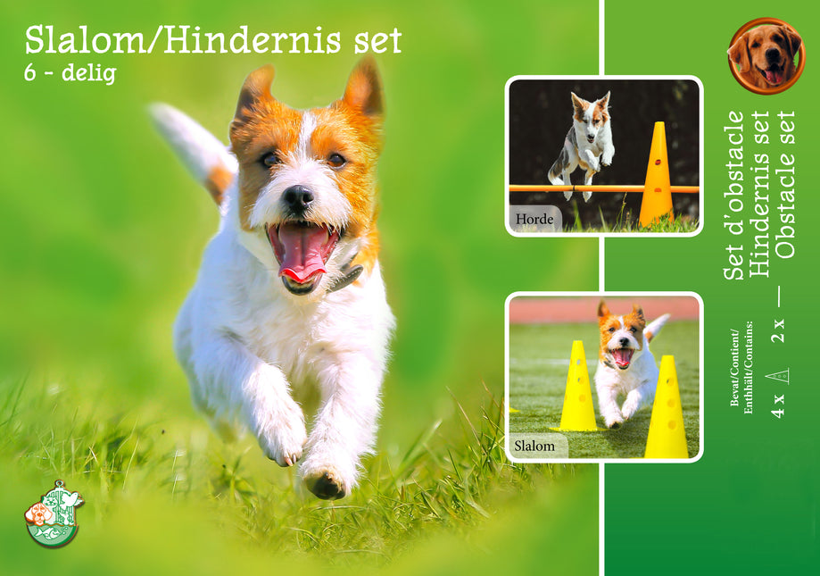 AnimalstoreXL Boon Agility Slalom En Hindernisset 4Xpylon