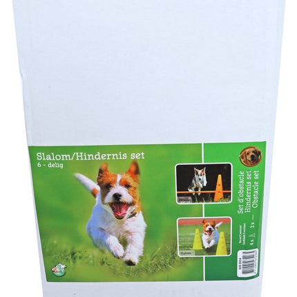 AnimalstoreXL Boon Agility Slalom En Hindernisset 4Xpylon