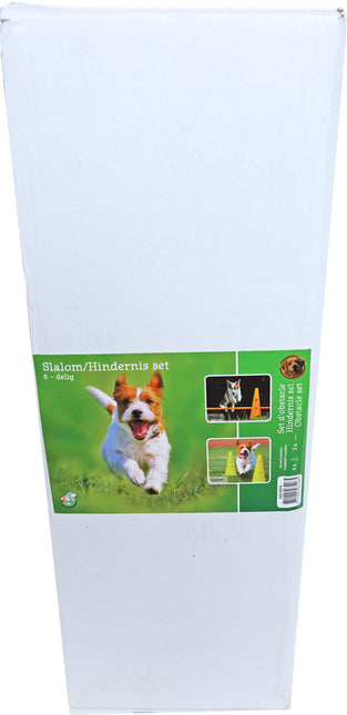 AnimalstoreXL Boon Agility Slalom En Hindernisset 4Xpylon