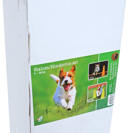 AnimalstoreXL Boon Agility Slalom En Hindernisset 4Xpylon