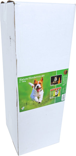 AnimalstoreXL Boon Agility Slalom En Hindernisset 4Xpylon