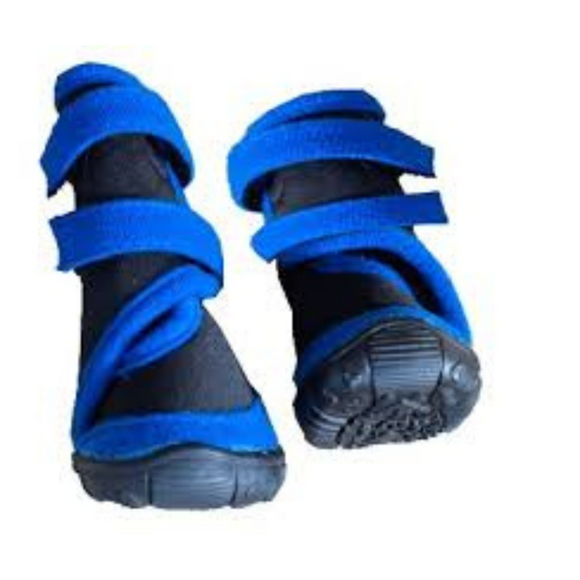 Boon Black/Blue Functional Dog Shoes