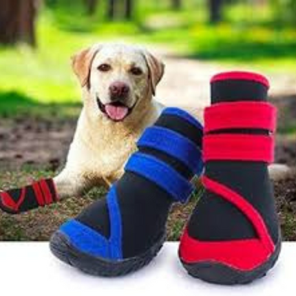 Boon Black/Blue Functional Dog Shoes