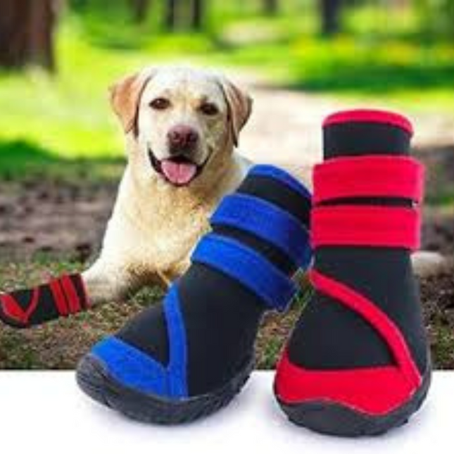 Boon Black/Blue Functional Dog Shoes