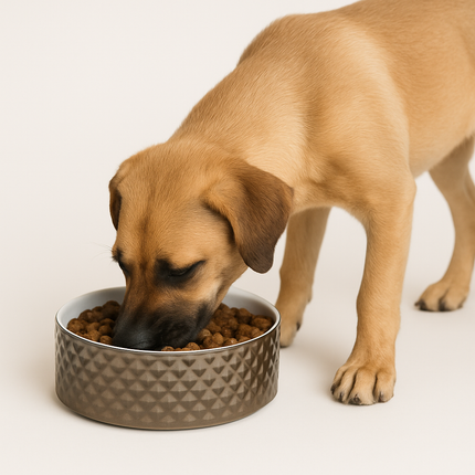 Boon Eetbak Steen Hond Prestige Zilv Wit 18cm