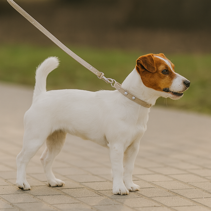 Boon Lijn met K.H. Nubuck met Voet Grijs 12mm 100cm