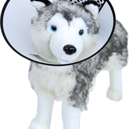 AnimalstoreXL Boon Beschermkraag