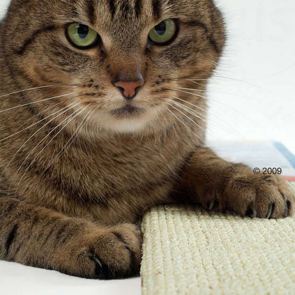 Boon Sisal & Pluche Krabpaal - Plank, Paal & Hoekmodel 3 Kleuren