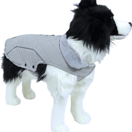 AnimalstoreXL Boony Dog fashion hondenjas beige