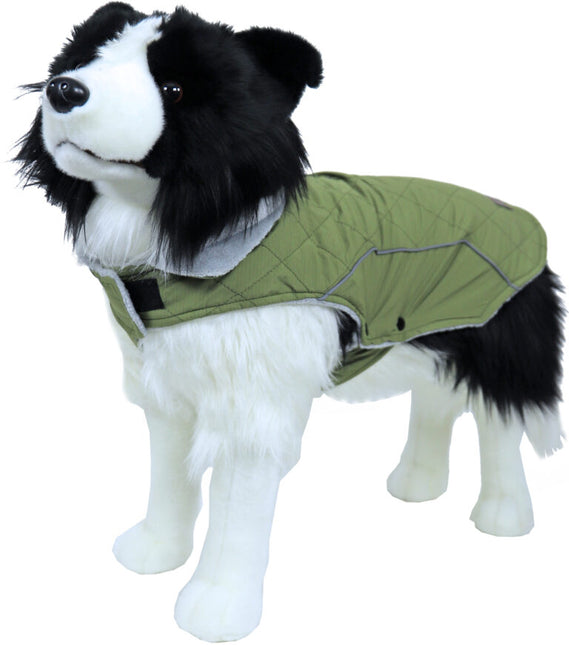 AnimalstoreXL Boony Dog fashion hondenjas groen