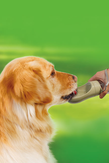 AnimalstoreXL Boony Drinkfles Travel met Draagkoord 450ml