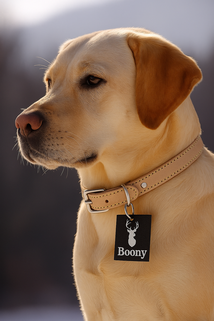 Boony Est1941Collar Leather Sand14mm35cm