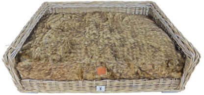 AnimalstoreXL Boony Est1941 Ligkussen Grizzly Brown 100x70cm