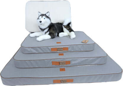 AnimalstoreXL Boony Est1941 Ligkussen Orthop. Highland Grey 70x50cm