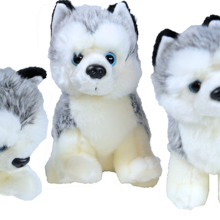 AnimalstoreXL Boony Husky Pluche Liggend 20cm