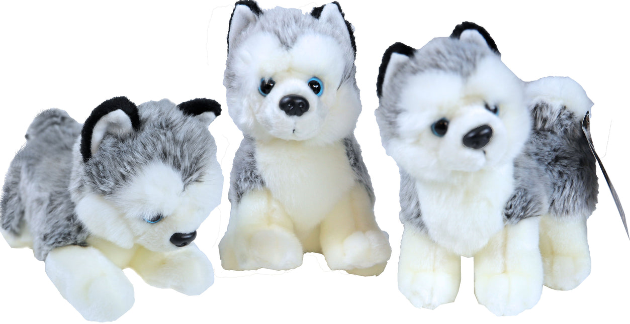 AnimalstoreXL Boony Husky Pluche Liggend 20cm