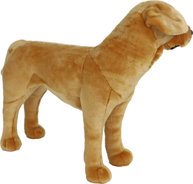 AnimalstoreXL Boony Labrador Pluche Staand Blond 53cm