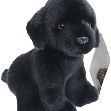 AnimalstoreXL Boony Labrador Pluche Zittend Zwart 20cm