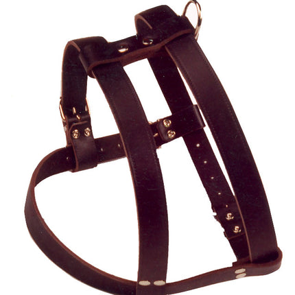 AnimalstoreXL Borsttuig 3Xverstelb. D.Bruin 25Mm/100cm