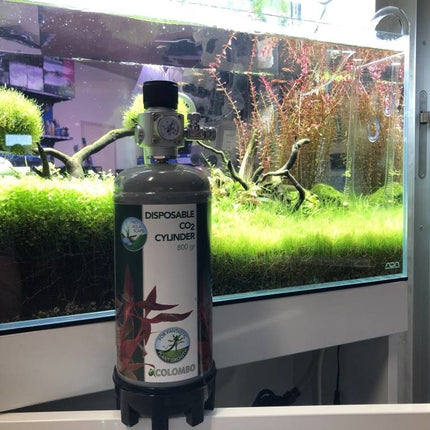 AnimalstoreXL CO2 Profi Set Voordeelbundel