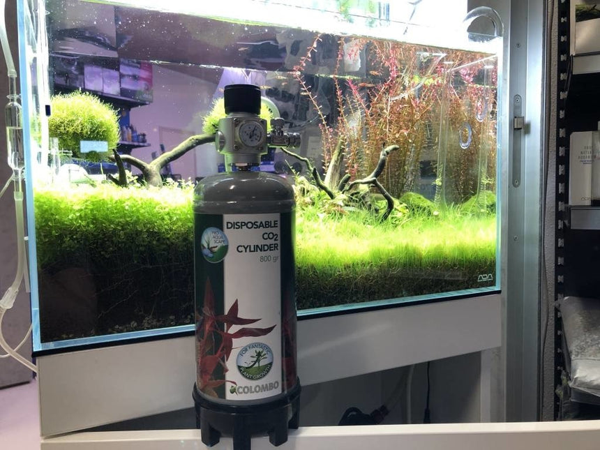 AnimalstoreXL CO2 Profi Set Voordeelbundel