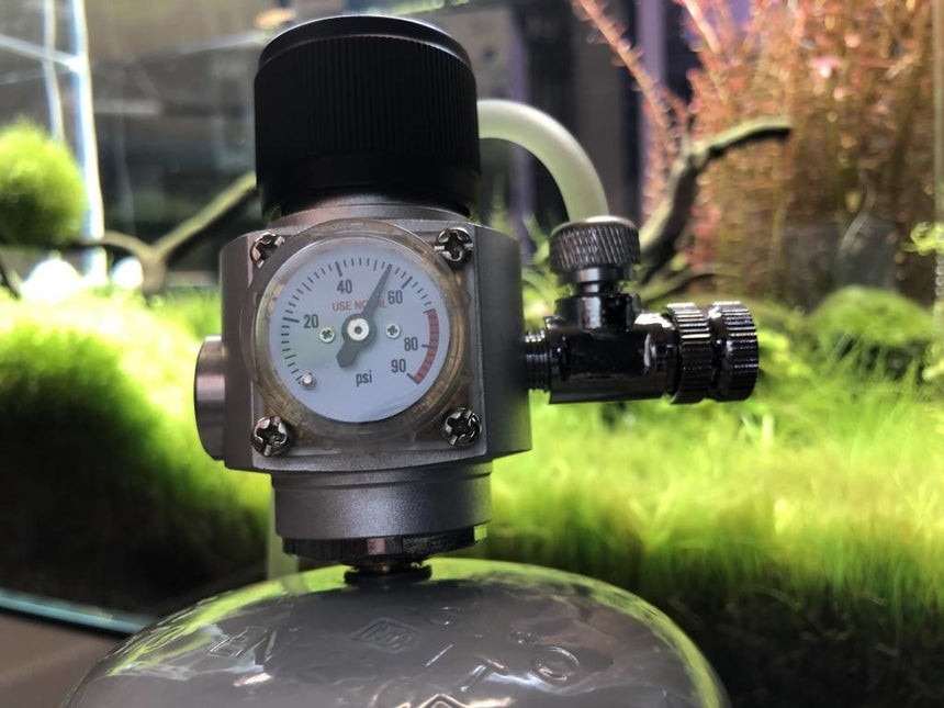 AnimalstoreXL CO2 Profi Set Voordeelbundel