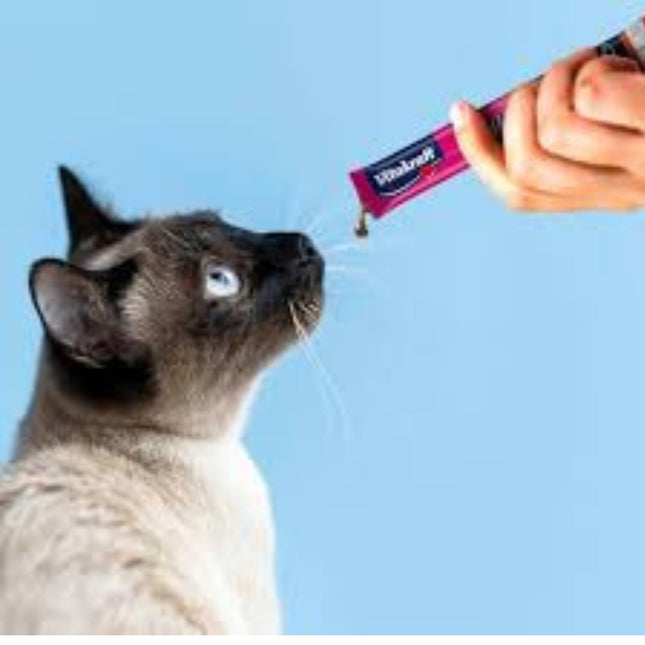 Cat Liquid Snack Chicken & Taurine 6 pieces