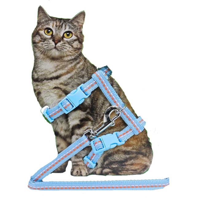 Kattentuig met lijn Nylon Mocca met Stiksel - Blauw met Stiksel