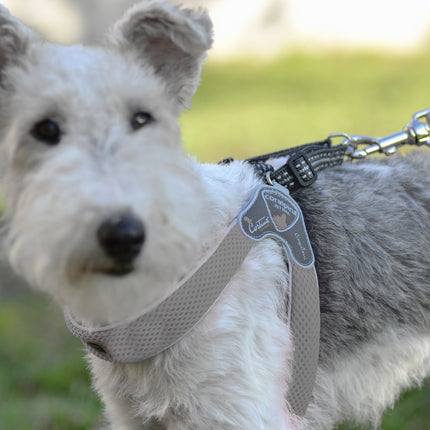 AnimalstoreXL Cinquetorri grijs harnas voor honden