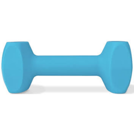 Coachi Training Dumbell Large Light Blue