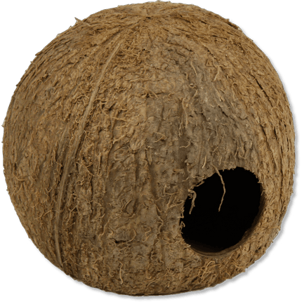 AnimalstoreXL Cocos Cava 3/4 Large