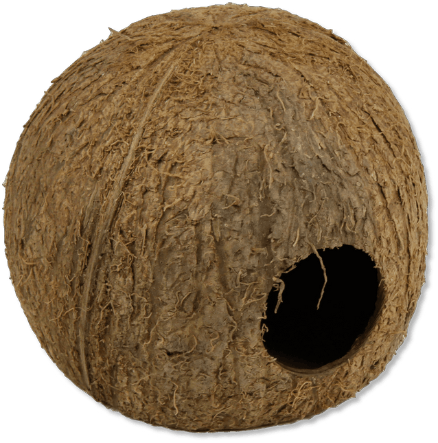 AnimalstoreXL Cocos Cava 3/4 Large