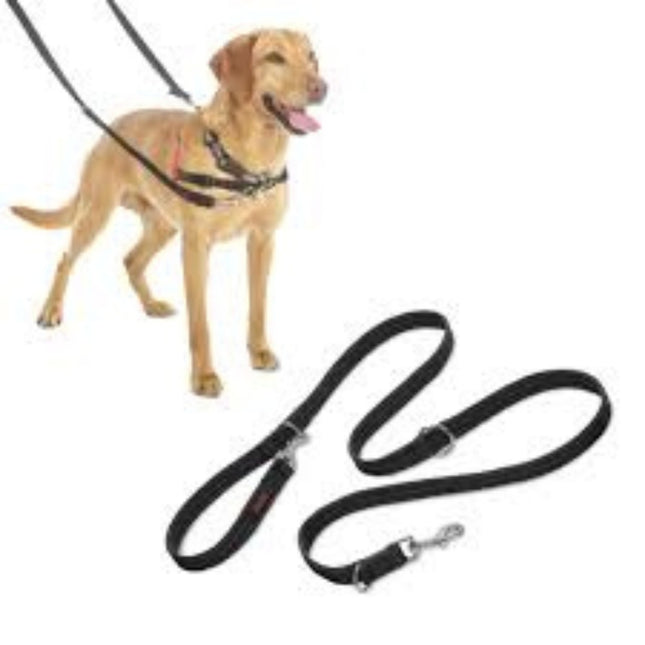 Company Of Animals Trainingslijn Klein Zwart