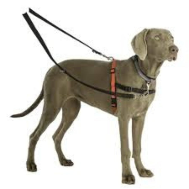 Company Of Animals Trainingslijn Klein Zwart