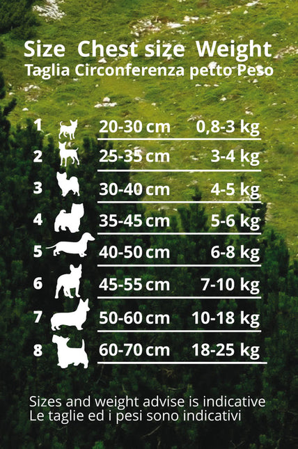 AnimalstoreXL Coralpina - Cinquetorri harnas voor kleine honden blauw