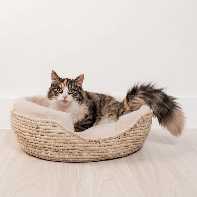 AnimalstoreXL D&D Home - Ella Mand 45x45x25cm - Wit