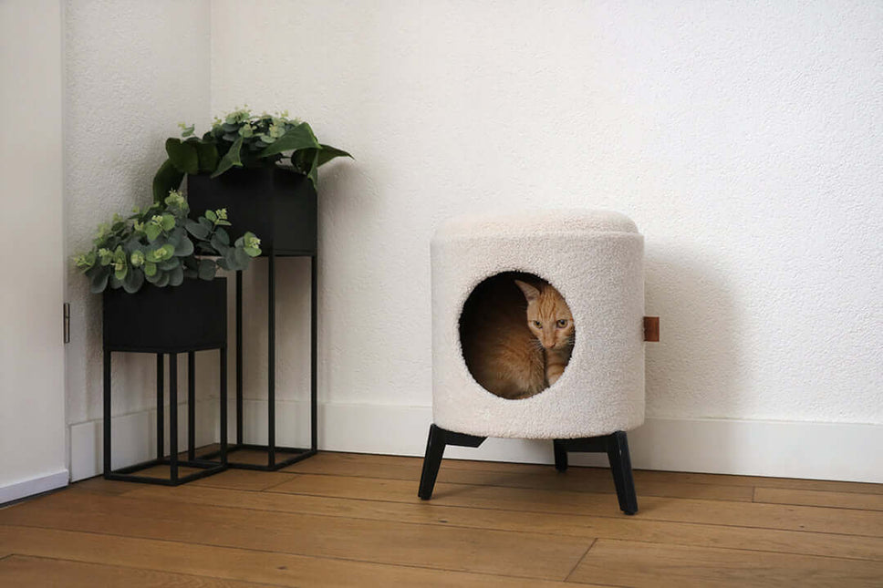 AnimalstoreXL D&D Home Jean Kattenhuis 35x35x48cm Wit