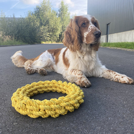 AnimalstoreXL Da-Chain Gevlochten Ring 18cm Geel