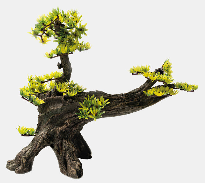 AnimalstoreXL Deco Bonsai L