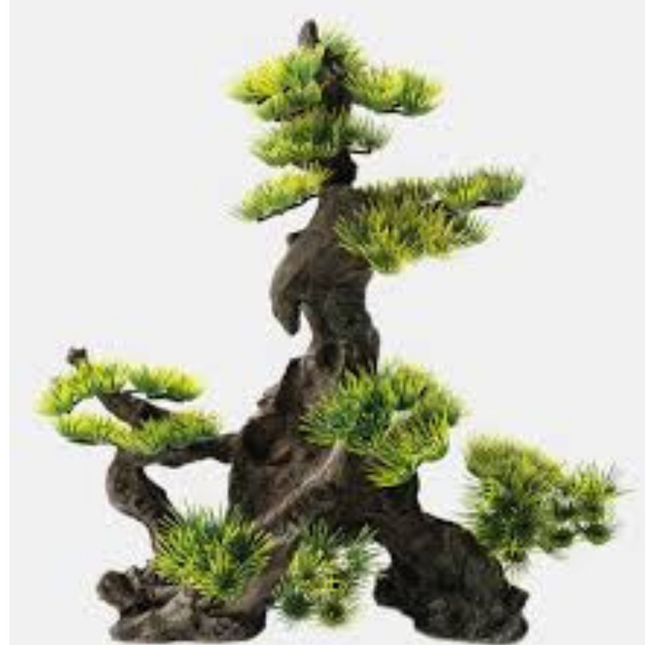 Deco Bonsai M