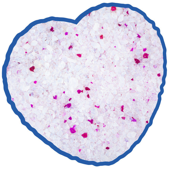 AnimalstoreXL Duvoplus Premium Silica Kattenbakvulling Lavendel 5L