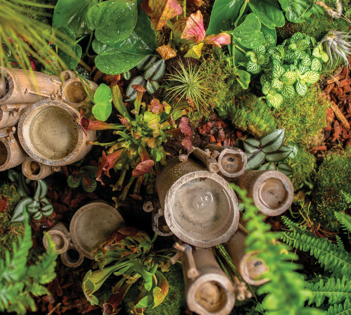 AnimalstoreXL EARTH Bamboe Bruin S