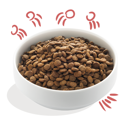 AnimalstoreXL Edgard & Cooper - Brok Senior Hond Scharrelkip & Zalm Graanvrij