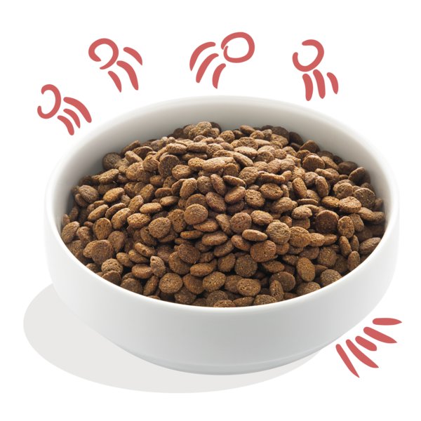 AnimalstoreXL Edgard & Cooper - Brok Senior Hond Scharrelkip & Zalm Graanvrij