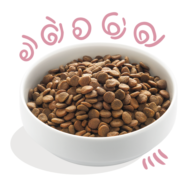 AnimalstoreXL Edgard & Cooper Brok Puppy Scharreleend & Kip Graanvrij