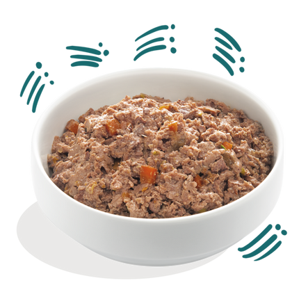 AnimalstoreXL Edgard & Cooper Volwassen Hond Kuipje Bio Vis Graanvrij