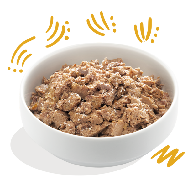 AnimalstoreXL Edgard & Cooper Volwassen Hond Kuipje Bio Kalkoen Graanvrij