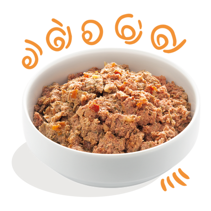 AnimalstoreXL Edgard & Cooper - Hond Kuipje Kip & Kalkoen Graanvrij