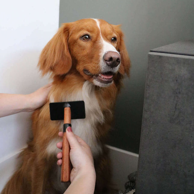 AnimalstoreXL Ebi Japandi Slickerborstel S 18x6x3cm Bruin