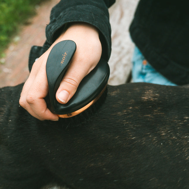 Ebi Noir Ergonomische Zachte - Slickerborstel 11x7x9,5cm